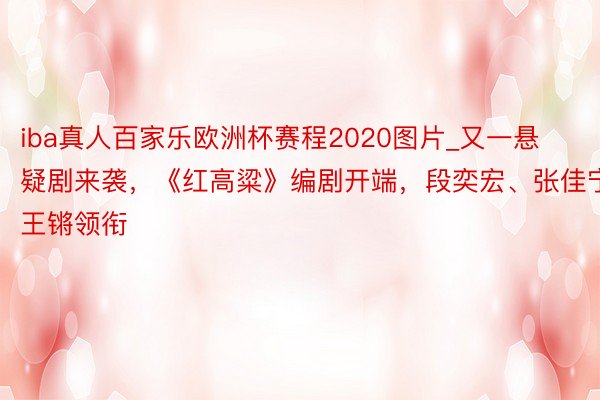 iba真人百家乐欧洲杯赛程2020图片_又一悬疑剧来袭，《红高粱》编剧开端，段奕宏、张佳宁、王锵领衔