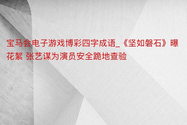 宝马会电子游戏博彩四字成语_《坚如磐石》曝花絮 张艺谋为演员安全跪地查验